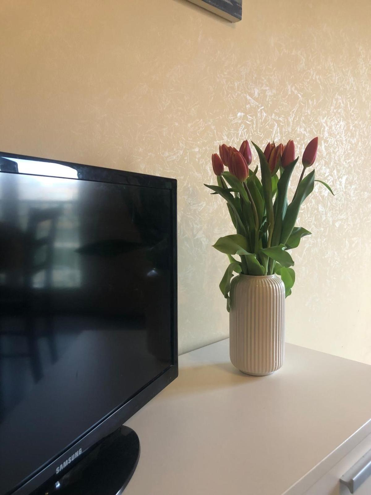 Myhomeinrome - Zona Re Di Appartamento *